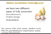 Abdon Incubation tech.Ngr.Lmt 💥💥💥